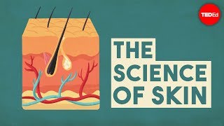 The science of skin  Emma Bryce [upl. by Ymmas17]