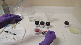 Digestive Chemistry 2 Sudan IV Lipid Test [upl. by Amato325]