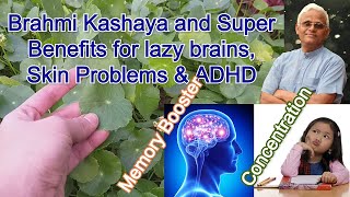 Brahmi leaves kashayam  Memory Booster Skin problems amp ADHD  Dr Khadar Lifestyle [upl. by Oemor615]