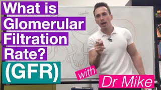 Glomerular Filtration Rate GFR  Renal System [upl. by Henke]