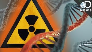 How Radiation Changes Your DNA [upl. by Nnylatsirk]