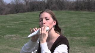 Rohan Theme from the Lord of the Rings on STL Ocarina [upl. by Monson803]