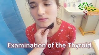 Examination of the Thyroid Gland  OSCE [upl. by Aiak87]