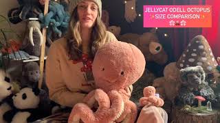 Jellycat Odell Octopus Size Comparison amp Sensory Qualities [upl. by Lamprey]