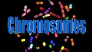 Chromosomes [upl. by Lednor559]