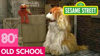 Sesame Street Count Backwards with Elmo and Barkley [upl. by Yunfei]