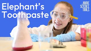 How to Make Elephant Toothpaste  FUN amp FOAMY Elephant Toothpaste Experiment  Doing Science at Home [upl. by Adnawt]