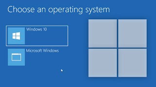 Windows 11 Boot Manager  Recovery Mode [upl. by Ytrebil]