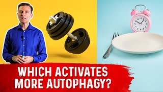 Autophagy Exercise vs Fasting [upl. by Summers]