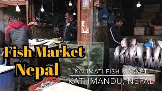 Fish market Kathmandu Nepal [upl. by Seniag873]