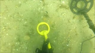 Scuba Diving with the NoktaMakro Pulse Dive Metal Detector [upl. by Elberfeld]