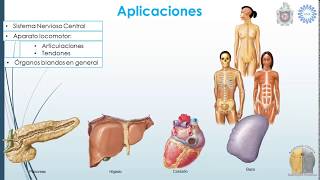 021  Radiología convencional y fluoroscopía [upl. by Anastasie]