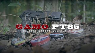 Gamo PT85 Chapter 1 [upl. by Malvin]