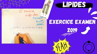 📣5 Les Lipides  EXERCICE EXAMEN 2019 اقوى شرح لللبيدات😍 BIOCHIMIE​​ SNV​ triglycerides [upl. by Eilssel]