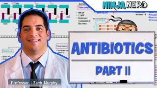 Antibiotics Folic Acid Pathway Inhibitors Part 2 [upl. by Gish305]