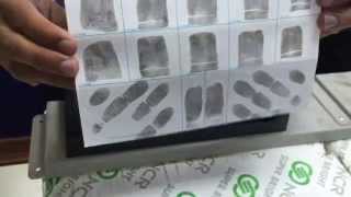 How to Roll Ink Fingerprints [upl. by Erik]