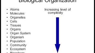 Biology 1010 Lecture 1 Intro to Biology [upl. by Nylimaj]