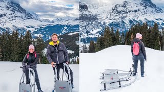 Grindelwald Sledding Run  Alpine Swiss mountain sled experience [upl. by Anauqat]