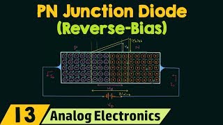 PN Junction Diode ReverseBias Condition [upl. by Ora]