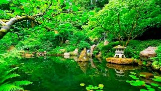 Deep Sleep Music and Nature Sounds  Zen Garden HD Relaxing [upl. by Attenov]