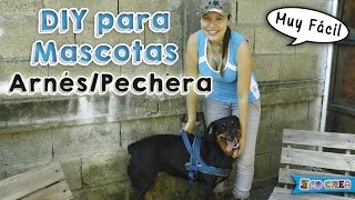 Cómo hacer un arnéspechera para tu perro │DIY [upl. by Ettelohcin]