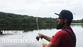 ANIMATION et TECHNIQUE pour PÊCHER le carnassier  stickbait spinner leurre souple [upl. by Alyak867]