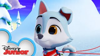 Sled Pup ❄️🐶  TOTS  disneyjr [upl. by Anerul531]