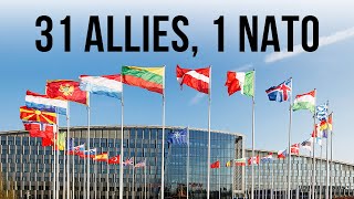 31 Allies 1 NATO [upl. by Ahsienor222]