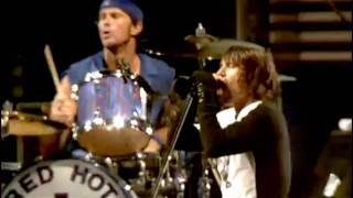 Red Hot Chili Peppers  Parallel Universe  Live at Slane Castle [upl. by Itch398]