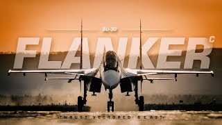 Sukhoi Su30  Thrust Vectored Beast [upl. by Duffy]