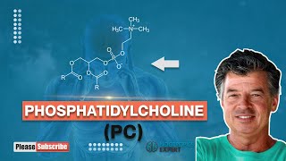 Phosphatidylcholine [upl. by Gorlin703]