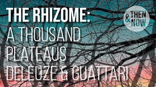 The Rhizome  A Thousand Plateaus Deleuze and Guattari [upl. by Nosiddam]