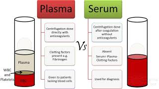 Plasma Vs serum Vs antiserum [upl. by Elram]