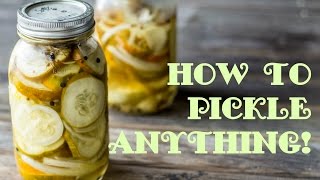 How to Pickle ANYTHING Quick Pickling Tutorial [upl. by Liagibba708]