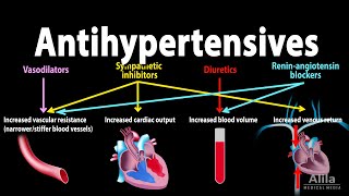 Antihypertensive Medications  Pharmacology Animation [upl. by Eak748]