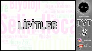 4 Lipitler [upl. by Haduhey39]