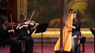 Dittersdorf Harp Concerto [upl. by Phillis]