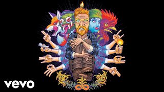 Tyler Childers  Peace of Mind Audio [upl. by Nayllij925]