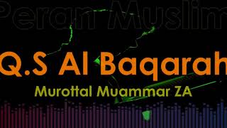 Murottal Muammar ZA  QS Al Baqarah [upl. by Acimak]