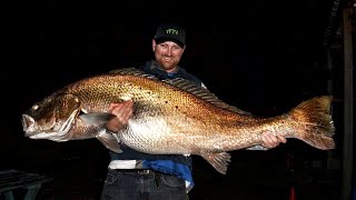 458kg Jewfish Silver mulloway Yes you read that correctly [upl. by Leddy]