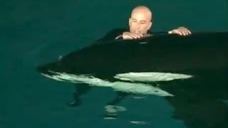 Caught on tape Whale nearly drowns SeaWorld trainer [upl. by Nnaerb]