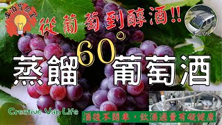 DIY【60度蒸餾水果酒？】葡萄酒快速發酵黃金比例與釀造方法｜回家幸福60度香醇葡萄酒｜最便宜的葡萄購買市場曝光《車泊實驗室ep05》 [upl. by Ransom149]