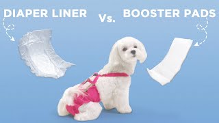 Diaper Liners vs Booster Pads Which is the Best Option for Your Dog [upl. by Caputo]