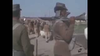 93000 Pakistani troops surrender  Rare footage of 1971 india pak war  Pak Troops Surrender [upl. by Othello]