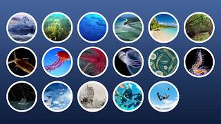 Marine Biology at Home 1 Introduction [upl. by Olin]