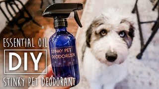 DIY Stinky Pet Deodorizer Spray [upl. by Edwards]