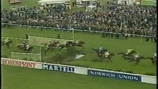 Abandoned Grand National 1993 BBC Highlights Horse Racing [upl. by Eduardo63]