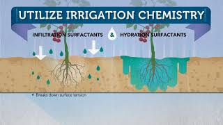 Surfactant 101 from Plant Health Technologies [upl. by Ayn]