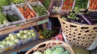 VEGETABLE CAPITAL OF MISAMIS ORIENTAL  CLAVERIA [upl. by Eelirrem984]