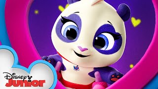 Precious the Panda 🐼 Calling All TOTS  TOTS  Disney Junior [upl. by Maurits]